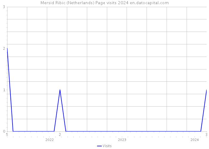Mersid Ribic (Netherlands) Page visits 2024 