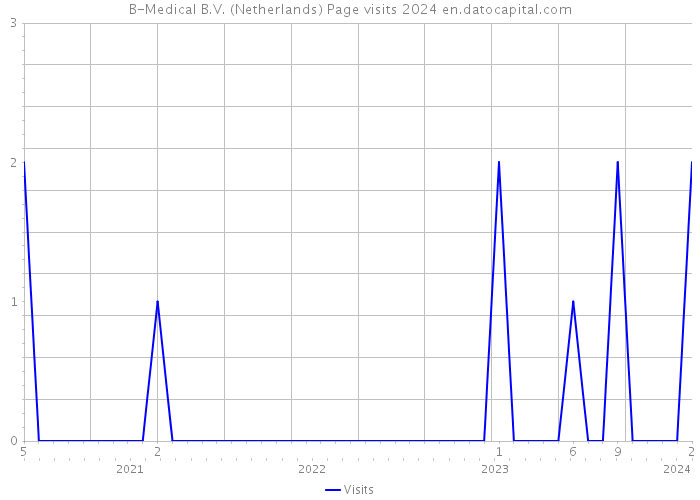 B-Medical B.V. (Netherlands) Page visits 2024 
