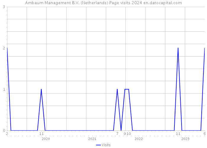 Ambaum Management B.V. (Netherlands) Page visits 2024 