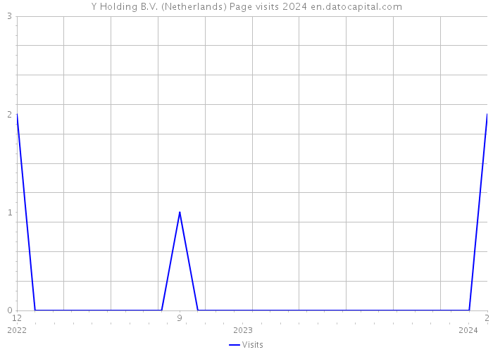 Y Holding B.V. (Netherlands) Page visits 2024 