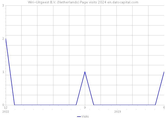 Wiri-Uitgeest B.V. (Netherlands) Page visits 2024 