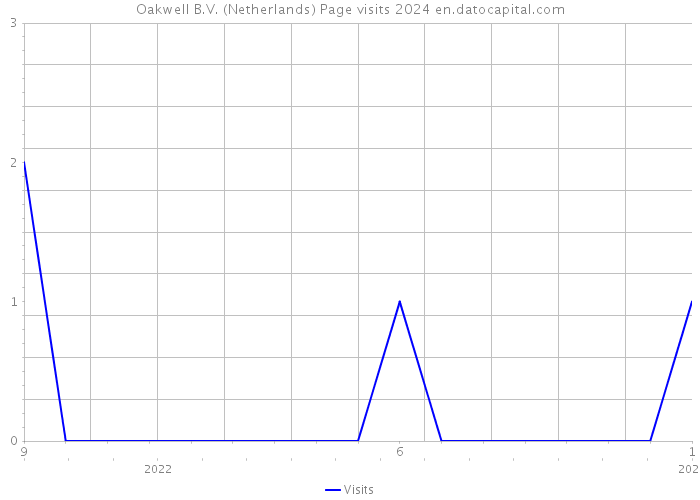 Oakwell B.V. (Netherlands) Page visits 2024 