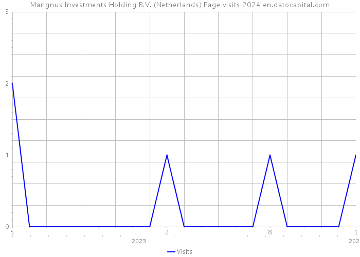 Mangnus Investments Holding B.V. (Netherlands) Page visits 2024 