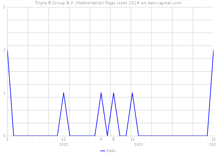 Triple B Group B.V. (Netherlands) Page visits 2024 