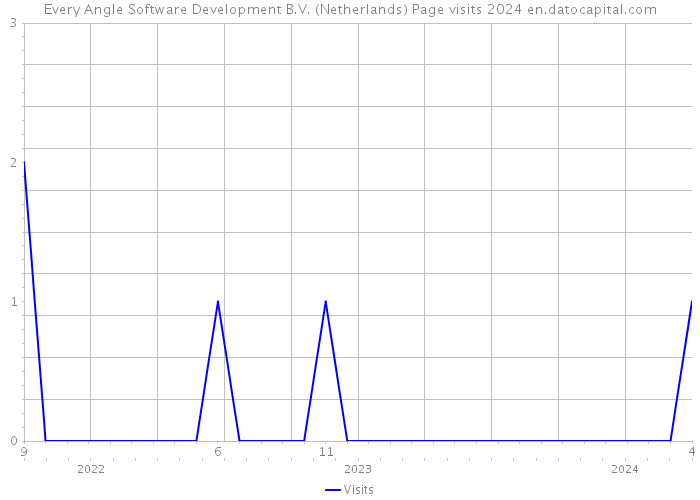 Every Angle Software Development B.V. (Netherlands) Page visits 2024 