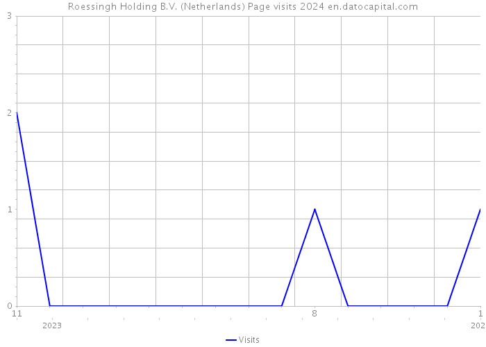Roessingh Holding B.V. (Netherlands) Page visits 2024 