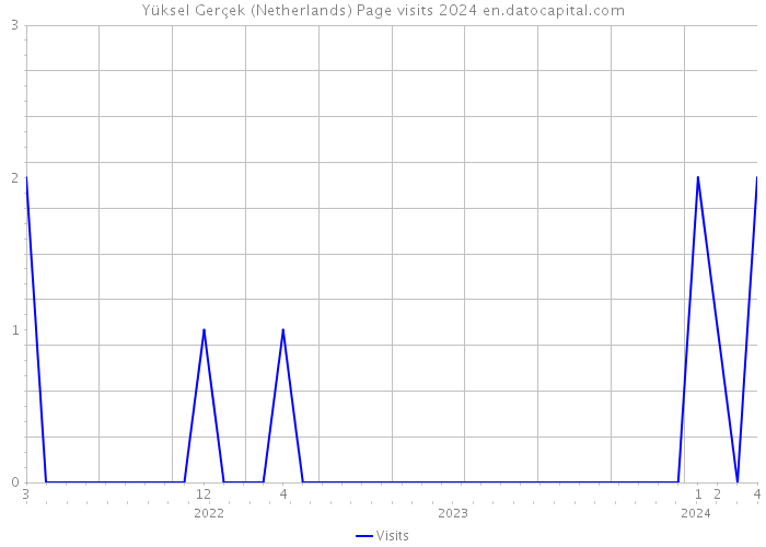 Yüksel Gerçek (Netherlands) Page visits 2024 
