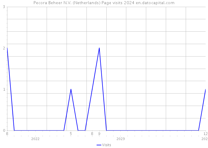Pecora Beheer N.V. (Netherlands) Page visits 2024 