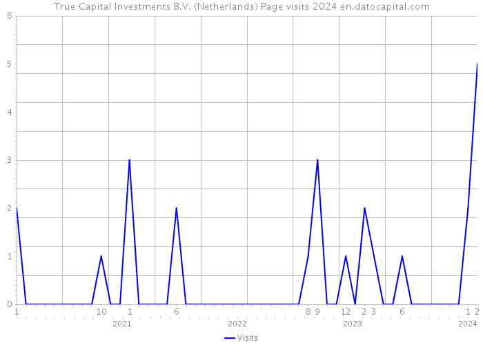 True Capital Investments B.V. (Netherlands) Page visits 2024 