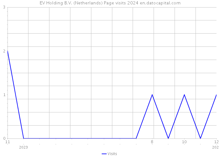 +EV Holding B.V. (Netherlands) Page visits 2024 