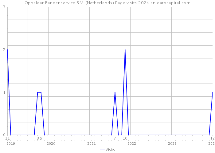 Oppelaar Bandenservice B.V. (Netherlands) Page visits 2024 
