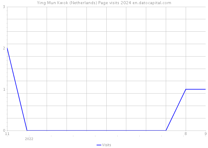 Ying Mun Kwok (Netherlands) Page visits 2024 