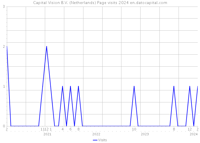 Capital Vision B.V. (Netherlands) Page visits 2024 