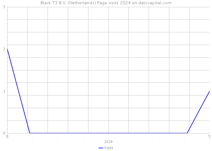Black T3 B.V. (Netherlands) Page visits 2024 