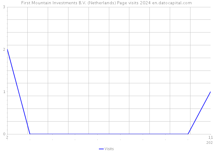First Mountain Investments B.V. (Netherlands) Page visits 2024 