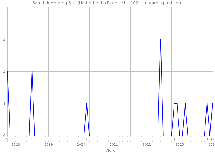 Bennink Holding B.V. (Netherlands) Page visits 2024 