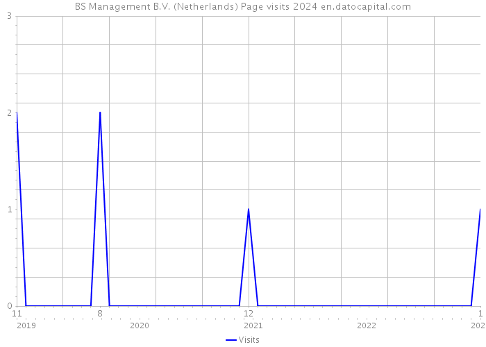 BS Management B.V. (Netherlands) Page visits 2024 