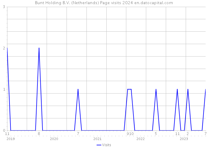 Bunt Holding B.V. (Netherlands) Page visits 2024 