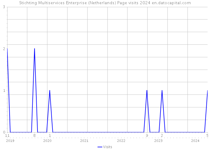 Stichting Multiservices Enterprise (Netherlands) Page visits 2024 