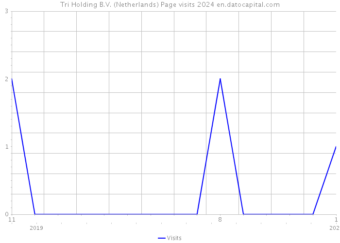 Tri Holding B.V. (Netherlands) Page visits 2024 