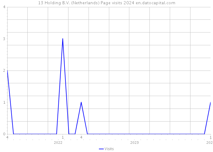 13 Holding B.V. (Netherlands) Page visits 2024 