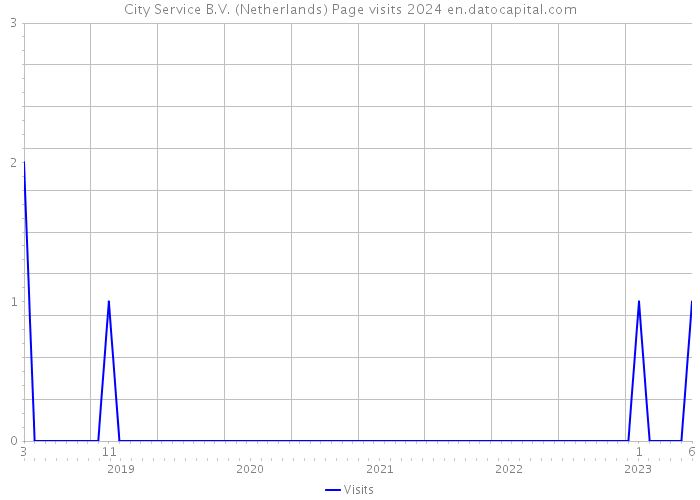 City Service B.V. (Netherlands) Page visits 2024 