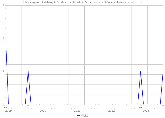 Hazeleger Holding B.V. (Netherlands) Page visits 2024 