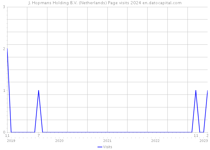 J. Hopmans Holding B.V. (Netherlands) Page visits 2024 