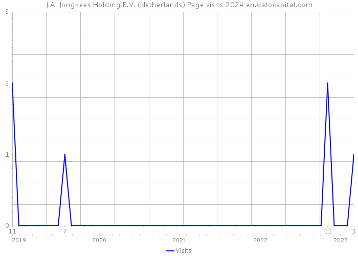 J.A. Jongkees Holding B.V. (Netherlands) Page visits 2024 