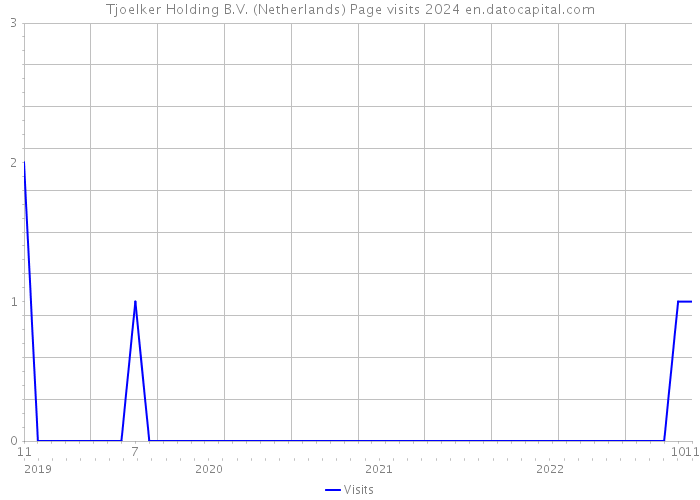 Tjoelker Holding B.V. (Netherlands) Page visits 2024 