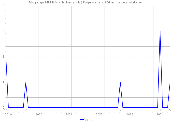 Magazijn MM B.V. (Netherlands) Page visits 2024 