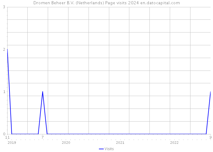 Dromen Beheer B.V. (Netherlands) Page visits 2024 