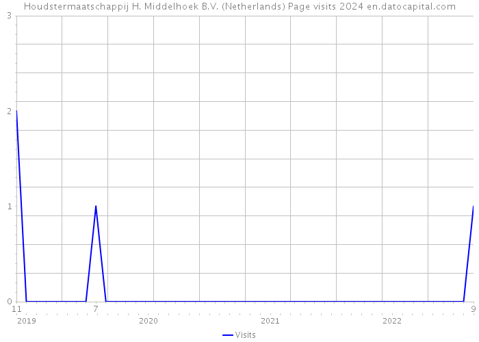 Houdstermaatschappij H. Middelhoek B.V. (Netherlands) Page visits 2024 