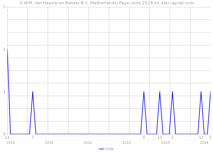 A.W.M. van Haasteren Beheer B.V. (Netherlands) Page visits 2024 