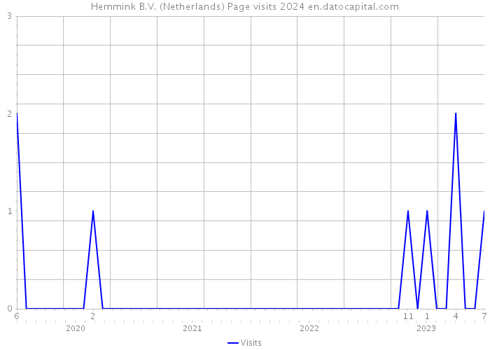 Hemmink B.V. (Netherlands) Page visits 2024 