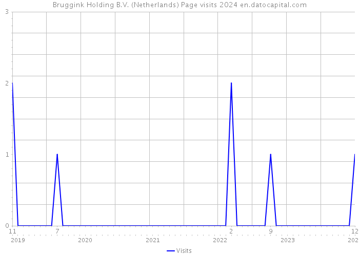 Bruggink Holding B.V. (Netherlands) Page visits 2024 