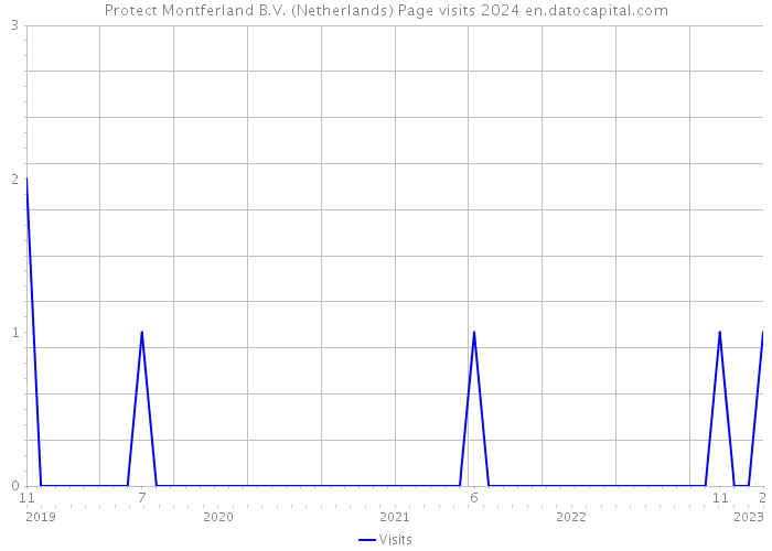 Protect Montferland B.V. (Netherlands) Page visits 2024 