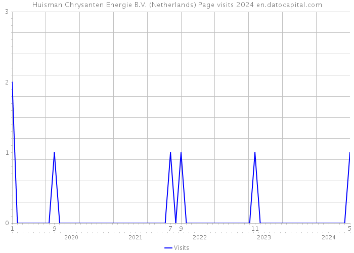 Huisman Chrysanten Energie B.V. (Netherlands) Page visits 2024 