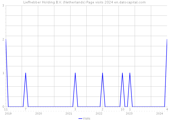 Liefhebber Holding B.V. (Netherlands) Page visits 2024 