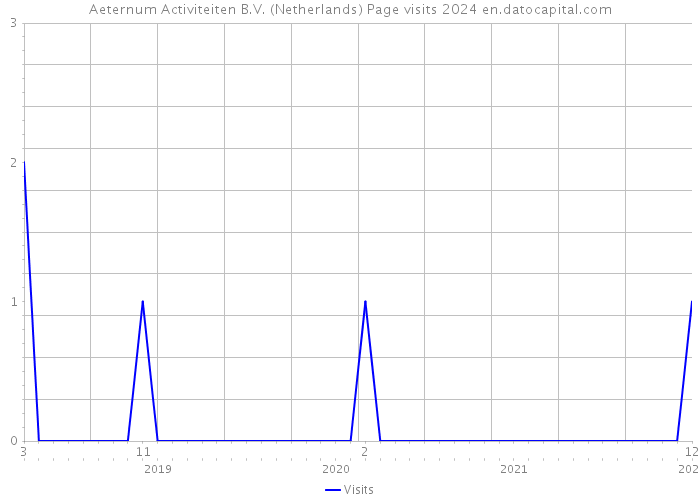 Aeternum Activiteiten B.V. (Netherlands) Page visits 2024 