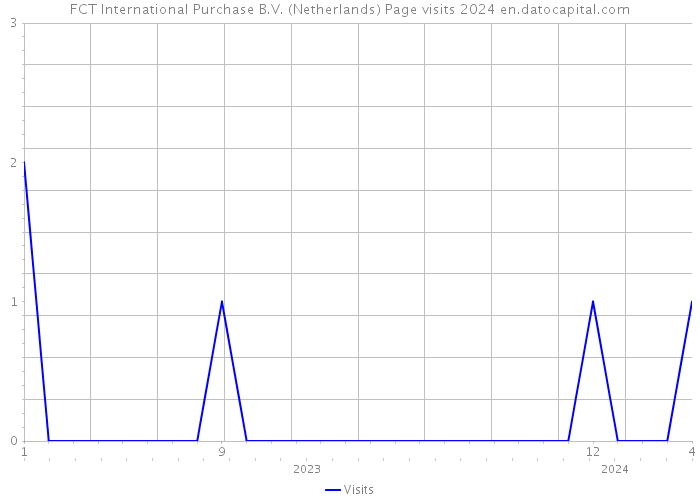 FCT International Purchase B.V. (Netherlands) Page visits 2024 