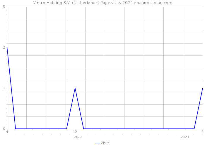 Vintro Holding B.V. (Netherlands) Page visits 2024 