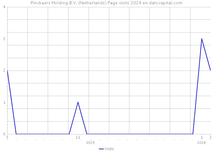Pinckaers Holding B.V. (Netherlands) Page visits 2024 