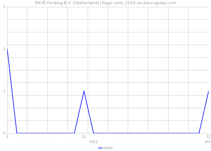 PAVE Holding B.V. (Netherlands) Page visits 2024 