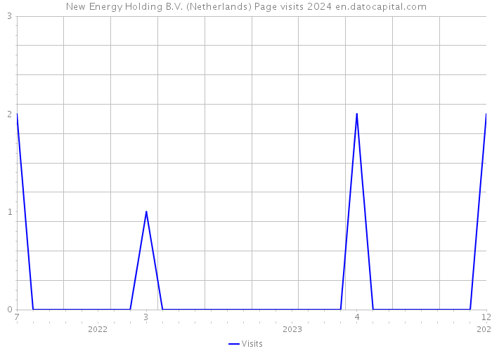 New Energy Holding B.V. (Netherlands) Page visits 2024 