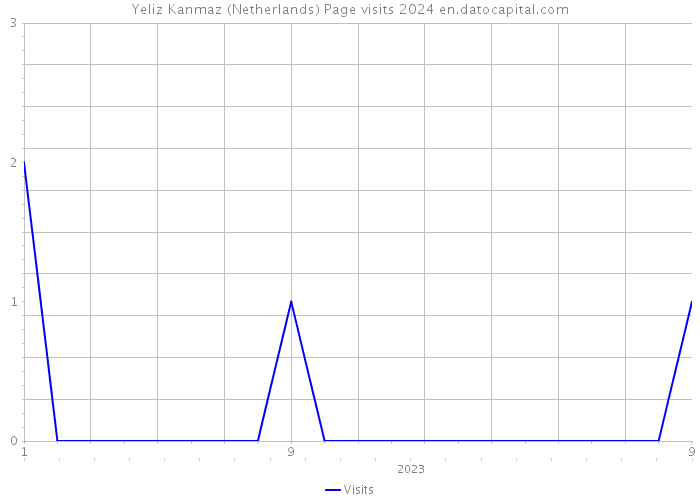 Yeliz Kanmaz (Netherlands) Page visits 2024 