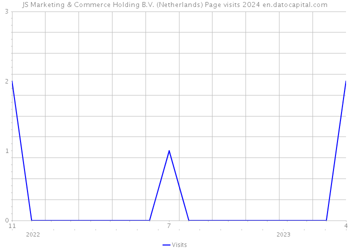 JS Marketing & Commerce Holding B.V. (Netherlands) Page visits 2024 