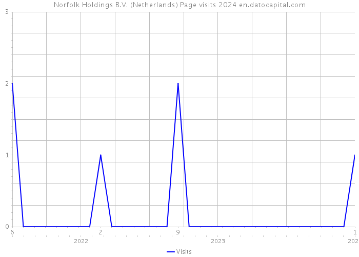 Norfolk Holdings B.V. (Netherlands) Page visits 2024 