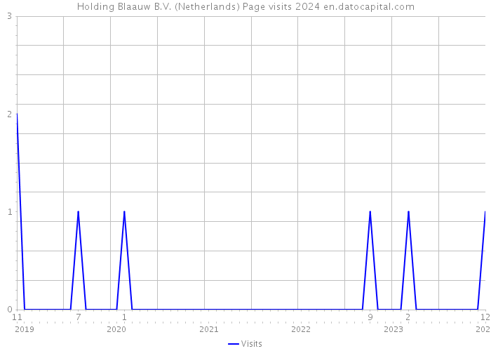 Holding Blaauw B.V. (Netherlands) Page visits 2024 