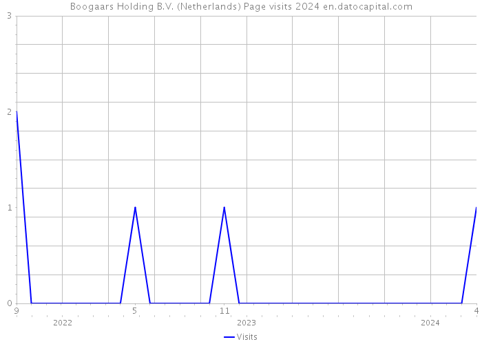 Boogaars Holding B.V. (Netherlands) Page visits 2024 